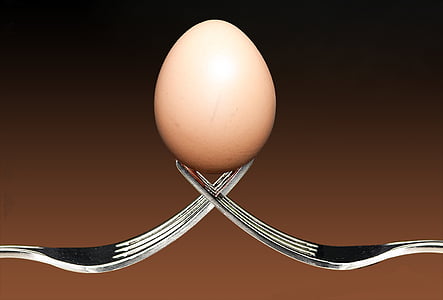 brown egg on gray stainless steel forks