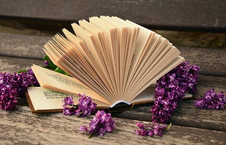 book surrounded of purple flowers