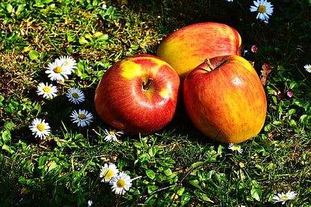 three apples near daisy flowers