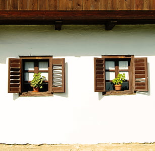green leafed plant on brown wooden window