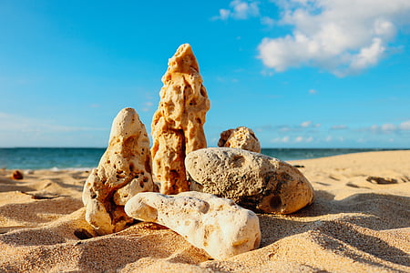 shallow focus photography of rock formation on seashore during daytime