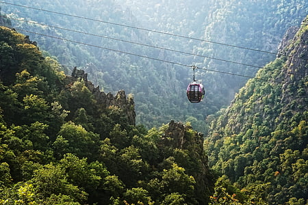 red and black cable car above forest on mountain