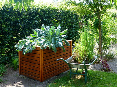 green leaf plant on wooden plant box near wheelbarrow