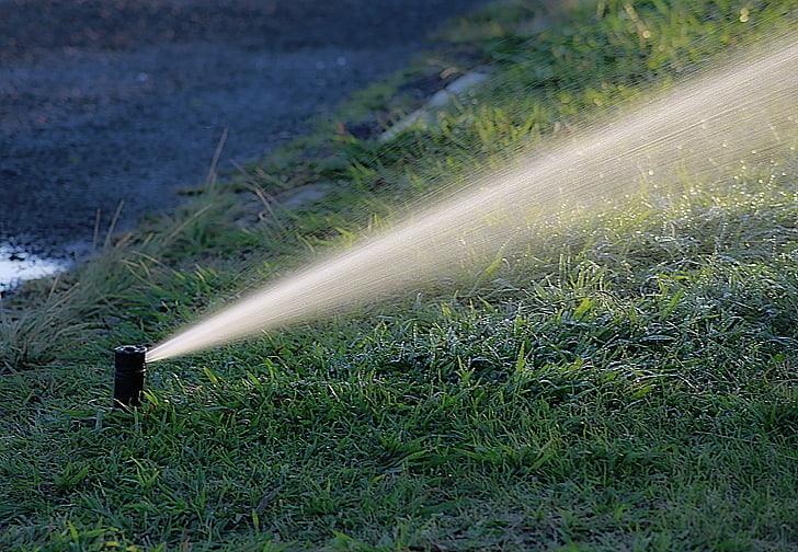 water hose on green grass
