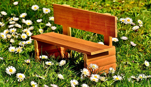 brown wooden bench on white daisy flower field at daytime