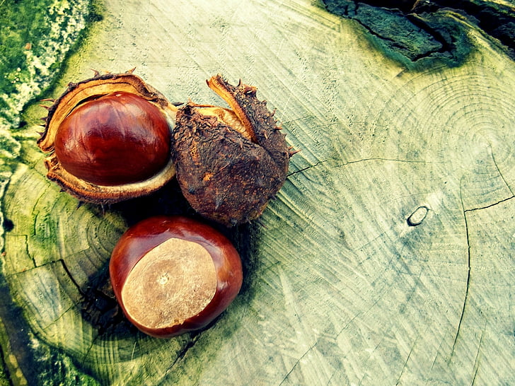 brown chestnuts on stump table