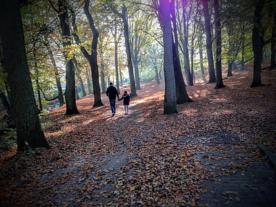 man and girl walking on forest during daytime