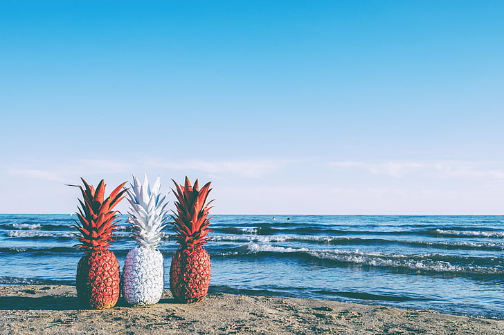 three red and white pineapples near sea