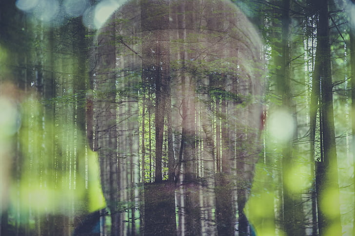 forest with man face background
