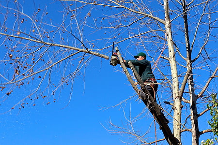 photo of man wearing blue sweatshirt cutting tree branch using orange and white chainsaw under clear blue sky