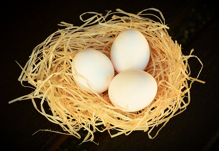 three white eggs on nest against black background