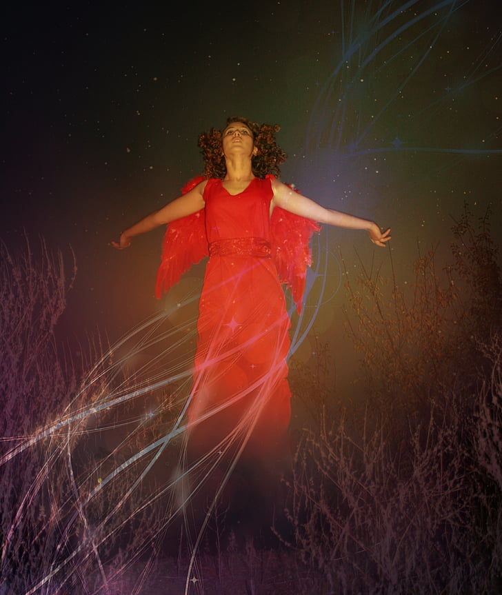 woman wearing red dress with red wings standing on brown grass