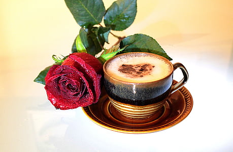 cup of coffee with red rose flower