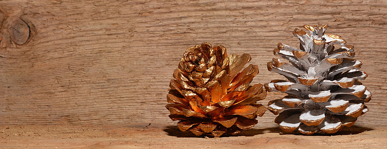 two brown pinecones