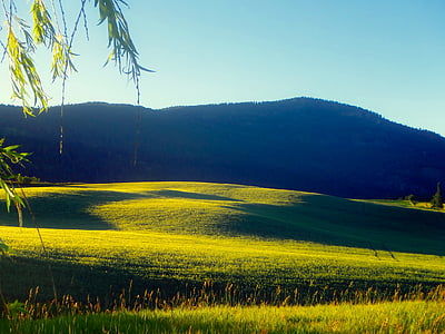 landscape photo of grass field near mountain