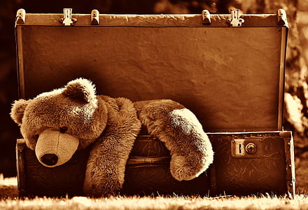 brown teddy bear on luggage