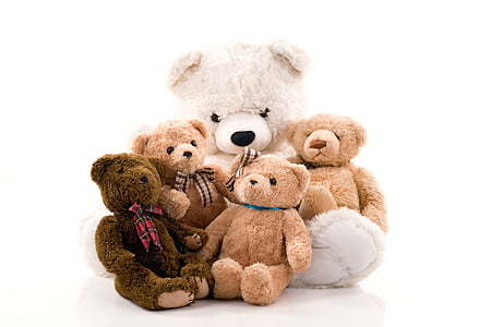 five assorted-color bear plush toys