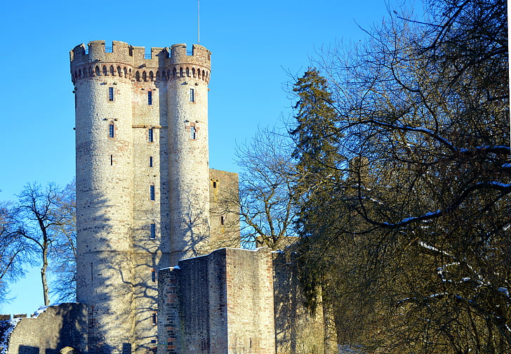 grey and black castle near tall trees under blue sky at daytime
