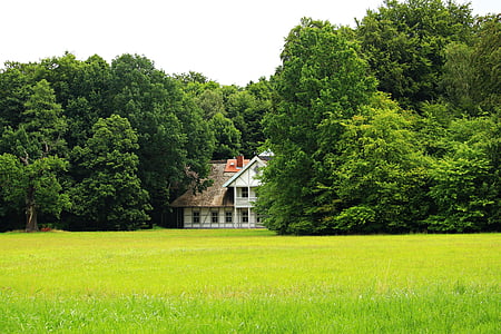 white and brown concrete building in the middle of green trees with open field in front photo taken during daytime