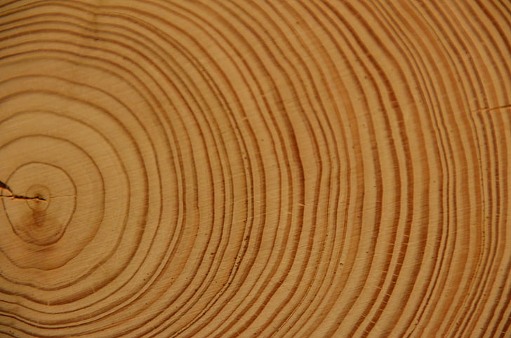 wood, annual rings, tree, log, strains