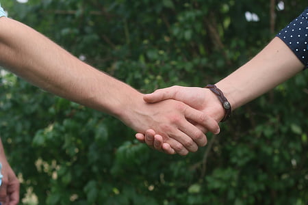 two people handshaking