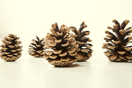 five brown pine cones on top of white surface