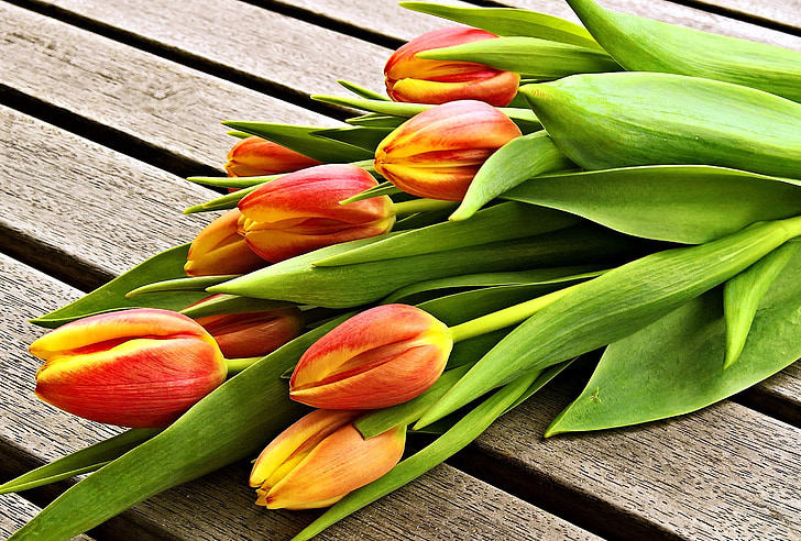 red-and-yellow tulips on brown wood planks