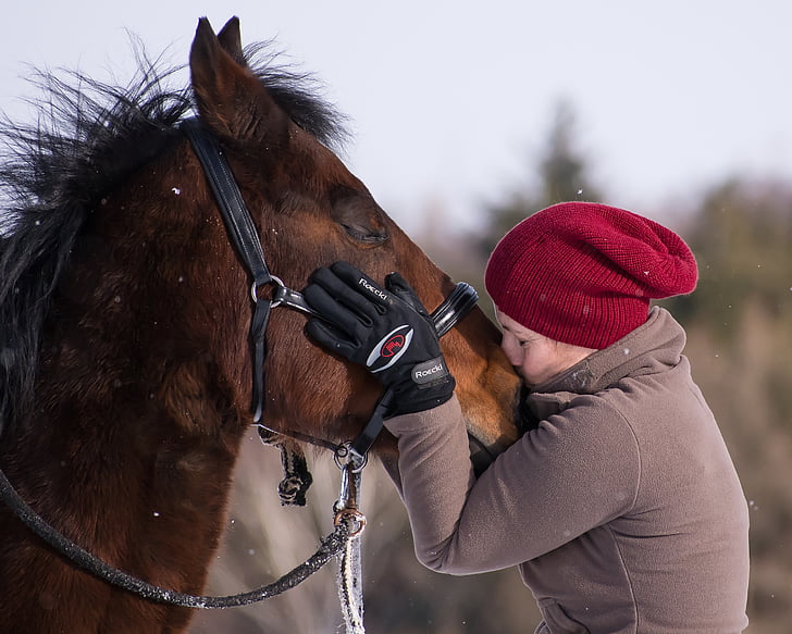 close-up photo of woman kissing horse nose