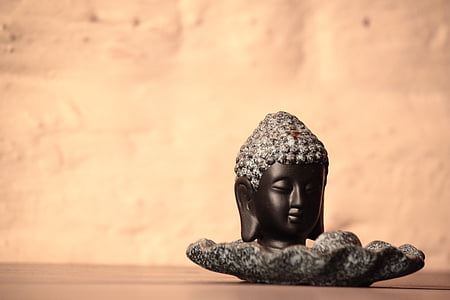 shallow focus photography of Gautama buddha head table decor