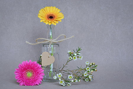 two pink and yellow Gerbera daisies near white clustered flowers