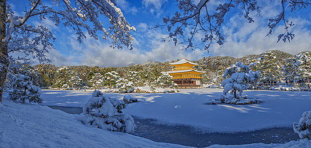 pagoda surrounded with snow covered trees