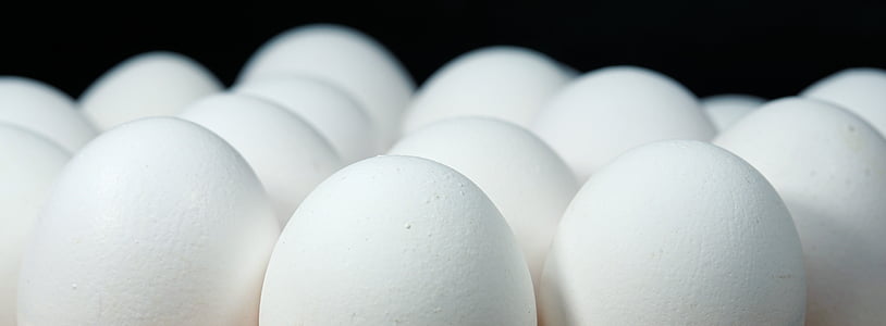 photography of chicken eggs