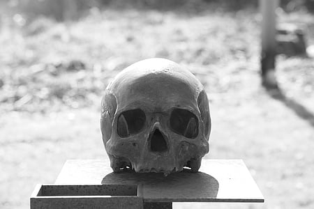 grayscale photography of human skull