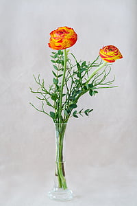two orange flowers with green leaf in clear glass vase
