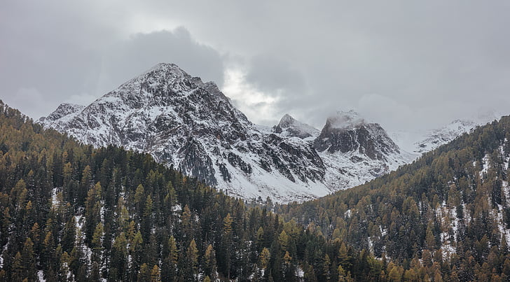 landscape mountain with snow and trees