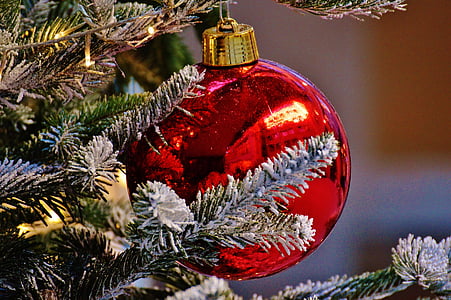 red bauble on Christmas tree