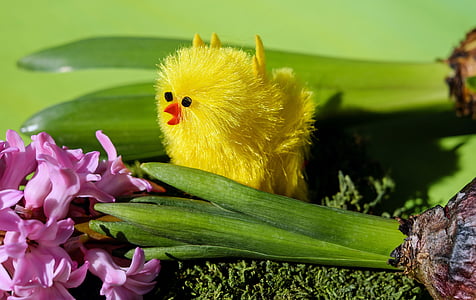 shallow focus photo of yellow bird plush toy