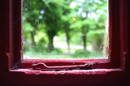 selective focus photo of red window