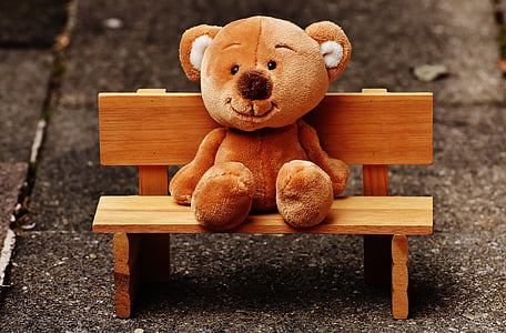 bear plush toy on wooden bench