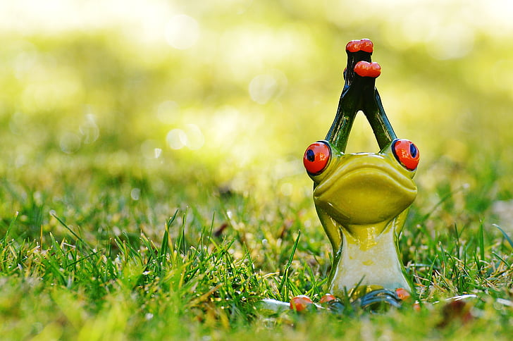 shallow focus photography of green ceramic toad figurine in grass field