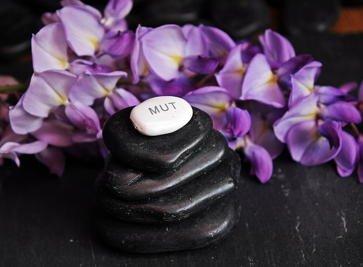 stack of black pebbles beside purple petaled flowers