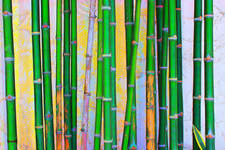 bamboo plant painting