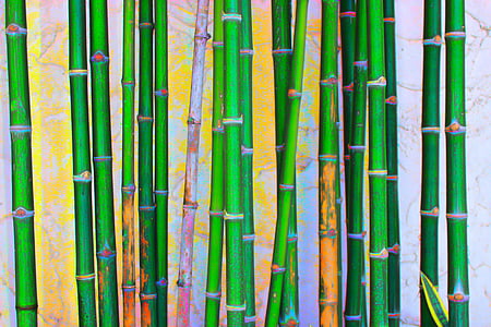 bamboo plant painting