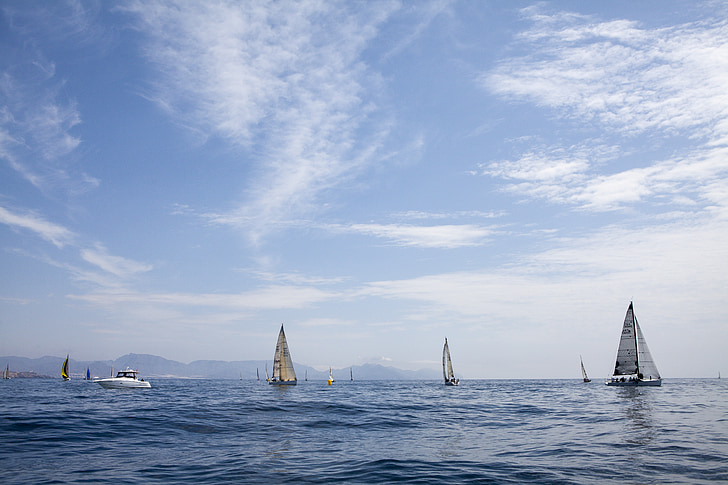 sailboats under sunny sky