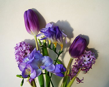 variety of purple flower arrangement