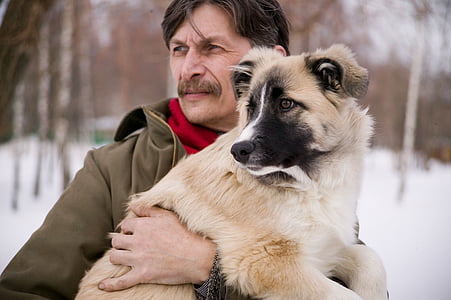 medium short-coated tan dog carried by man in focus photo