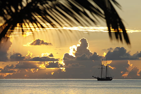 silhouette of coconut tree and sailing boat in the ocean during sunset