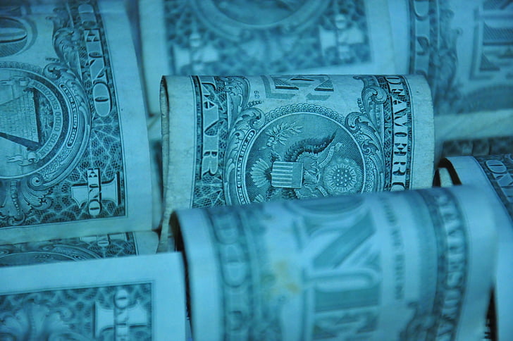 closeup photo of 1 US dollars