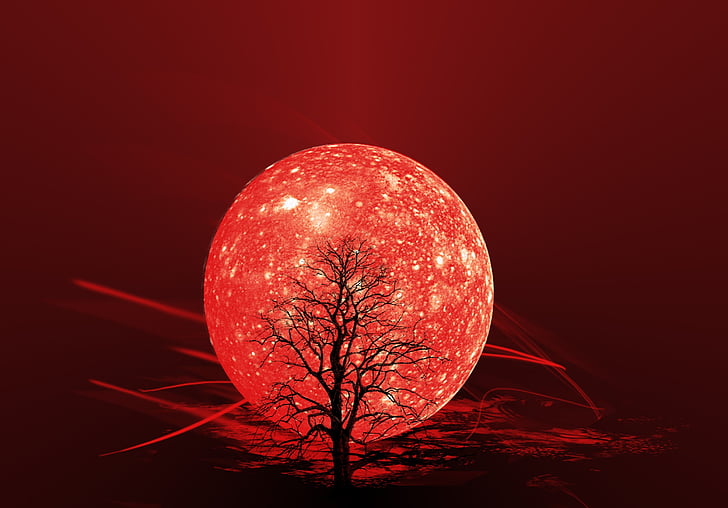 bare tree in front of red moon illustration