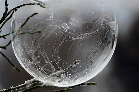 timelapse photography of bubble in branch